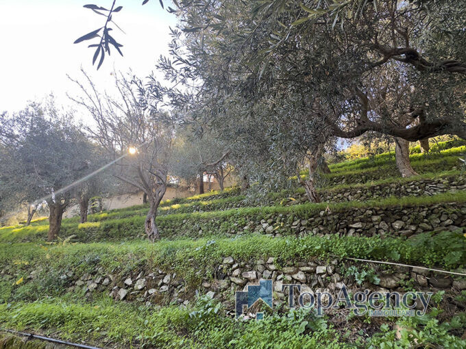 Terreno con ruderi Messina Zafferia